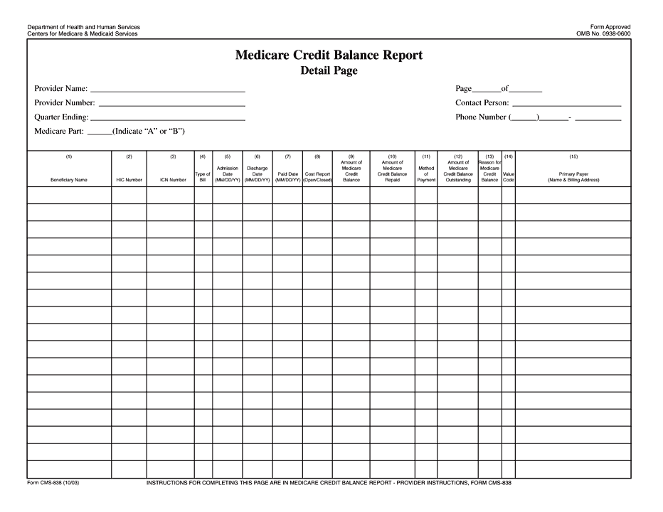 Medicare Credit Balance Report Detail Page